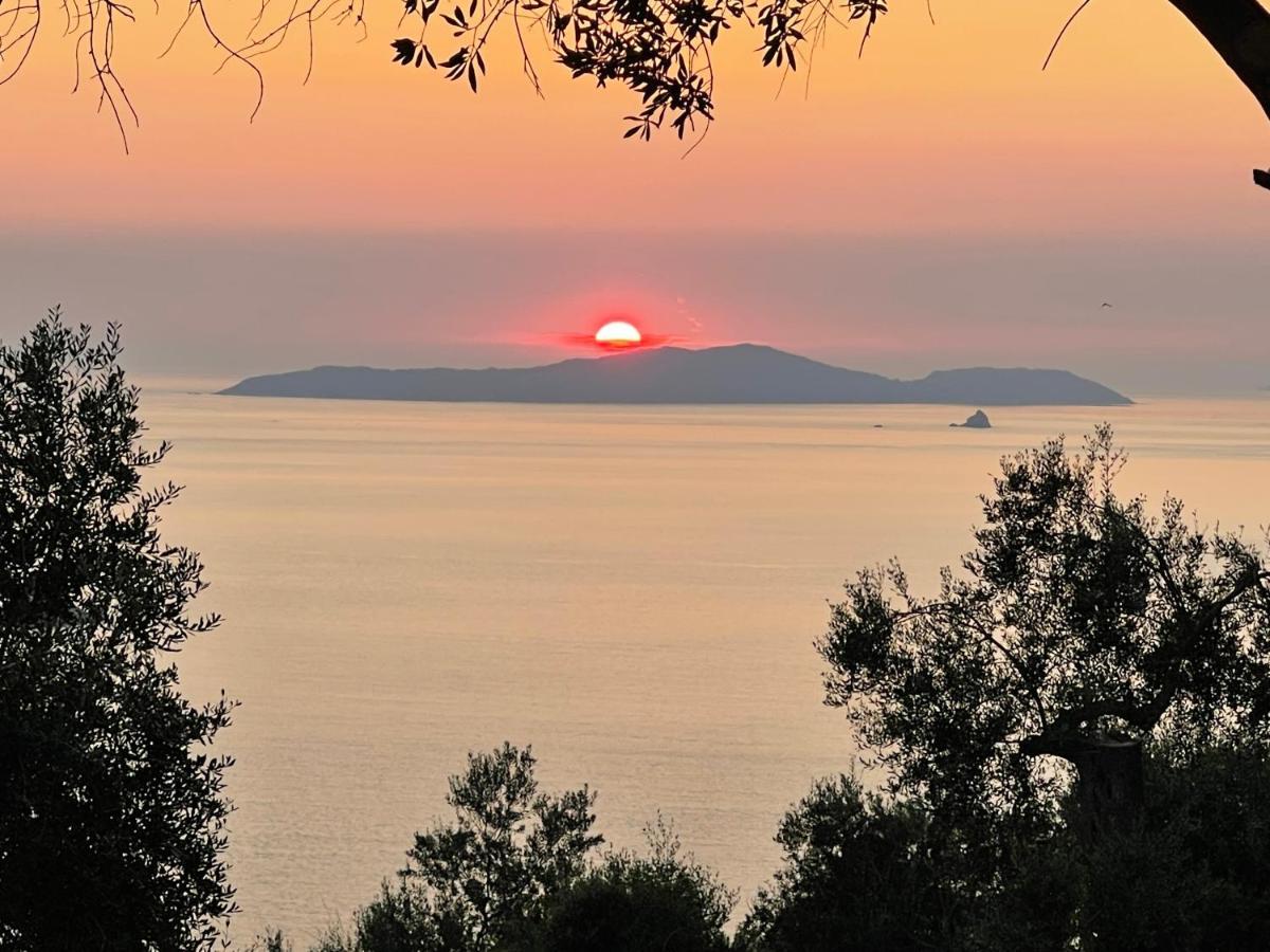 Arillas Hillside Villa 3 - Provence Dış mekan fotoğraf